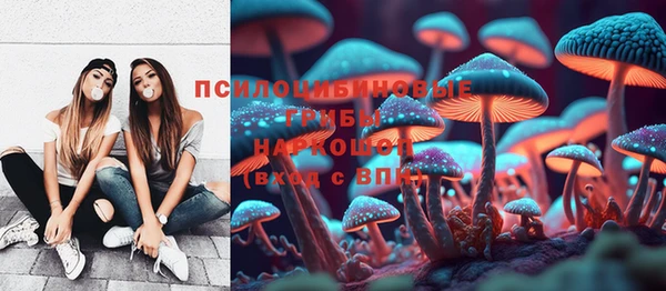 apvp Баксан