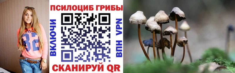 Псилоцибиновые грибы Cubensis  Буинск 